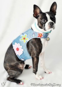 Denim Flower Harness