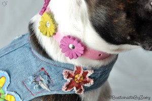 Flower dog collar