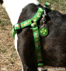 green shamrock tag