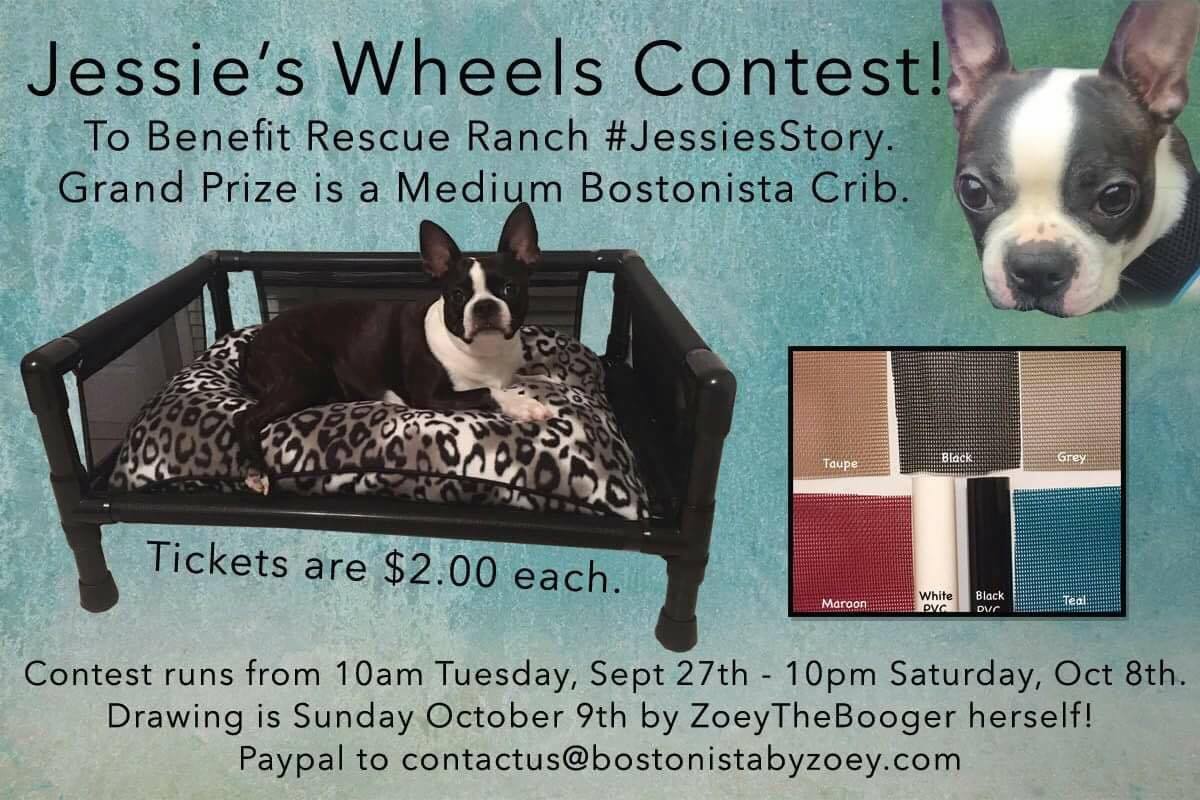 Jessie's Wheels Contest
