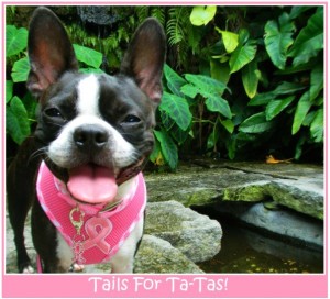 Zoey Tails for Ta-Tas