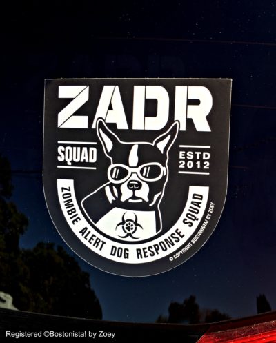 ZADR Squad decal