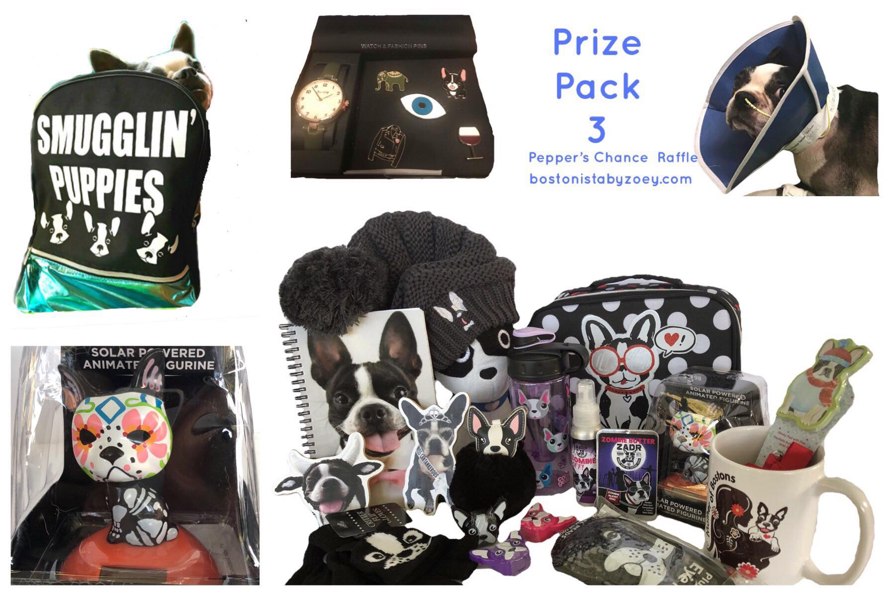 Prize Pack 3